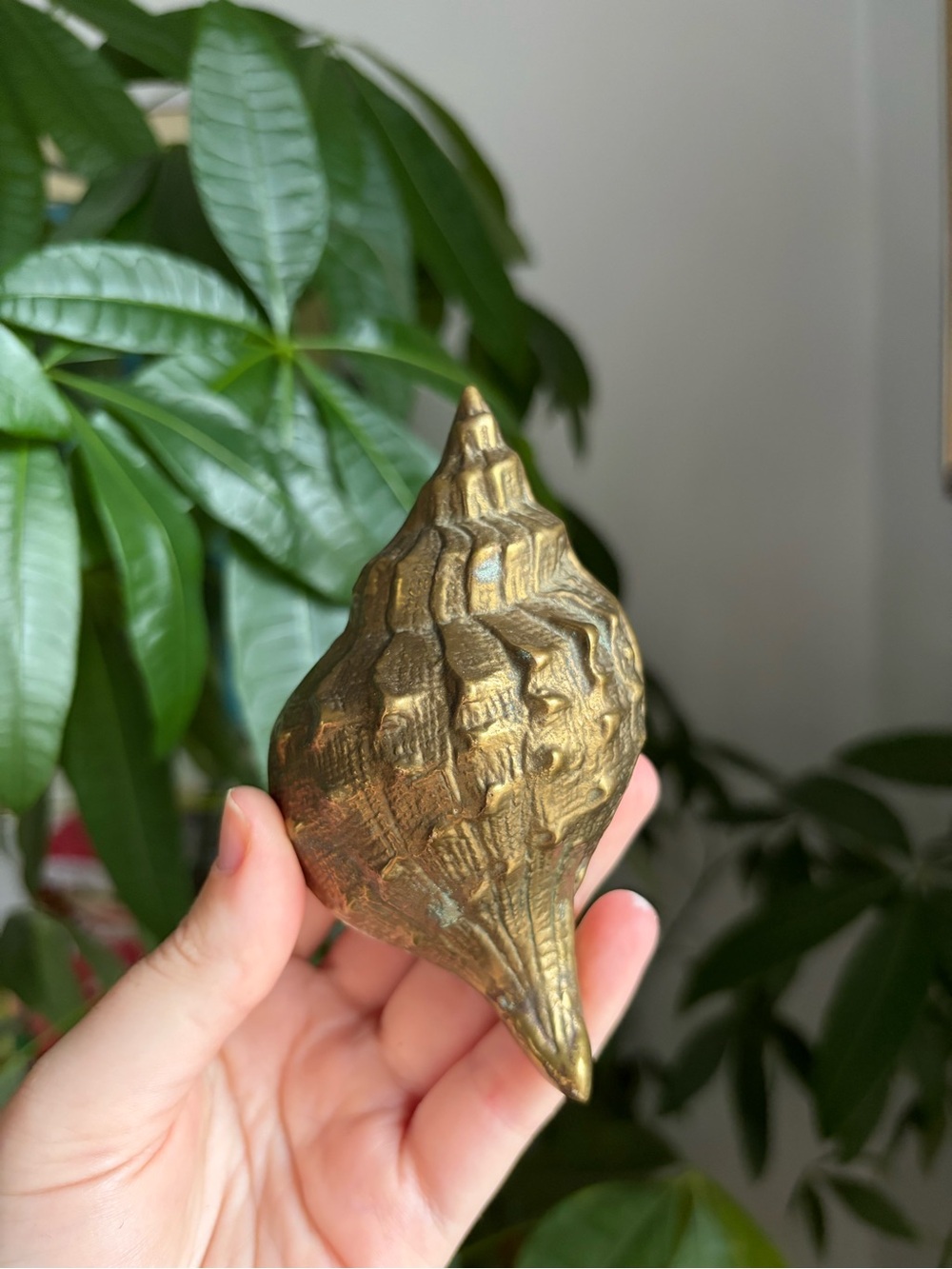 Vintage Brass Sea Shell